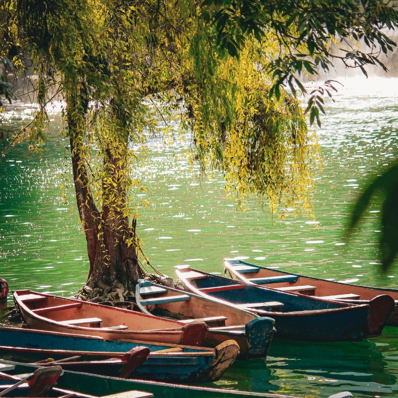 images/insta/Uttarakhand Tour Package 10 Nights 11 Days 8.jpg
